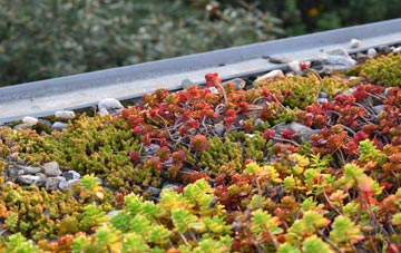 the cost of Fulney green roof installation