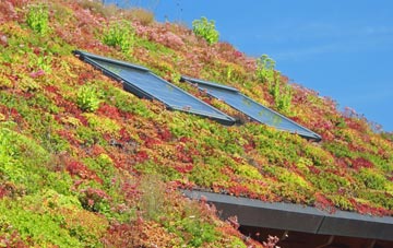 Fulney living roof systems