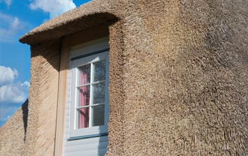 Fulney thatch roof disadvantages